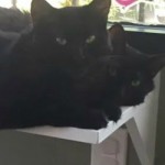 We are watching you