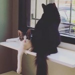Just lounging around here