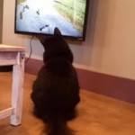 Love my TV time!