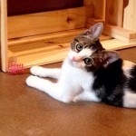 Are you talking to me?